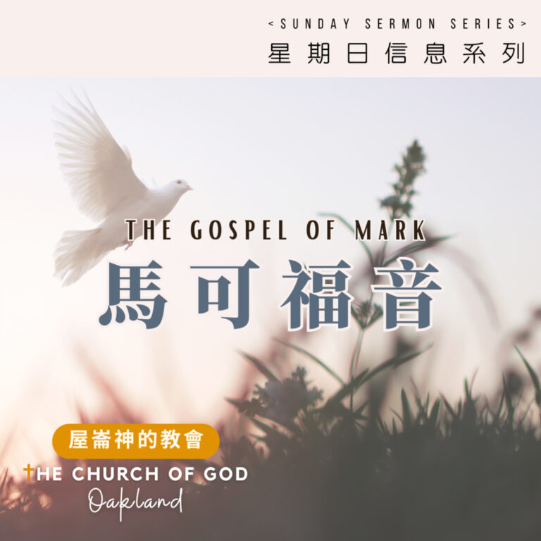 Mark “馬可福音​” 心的問題